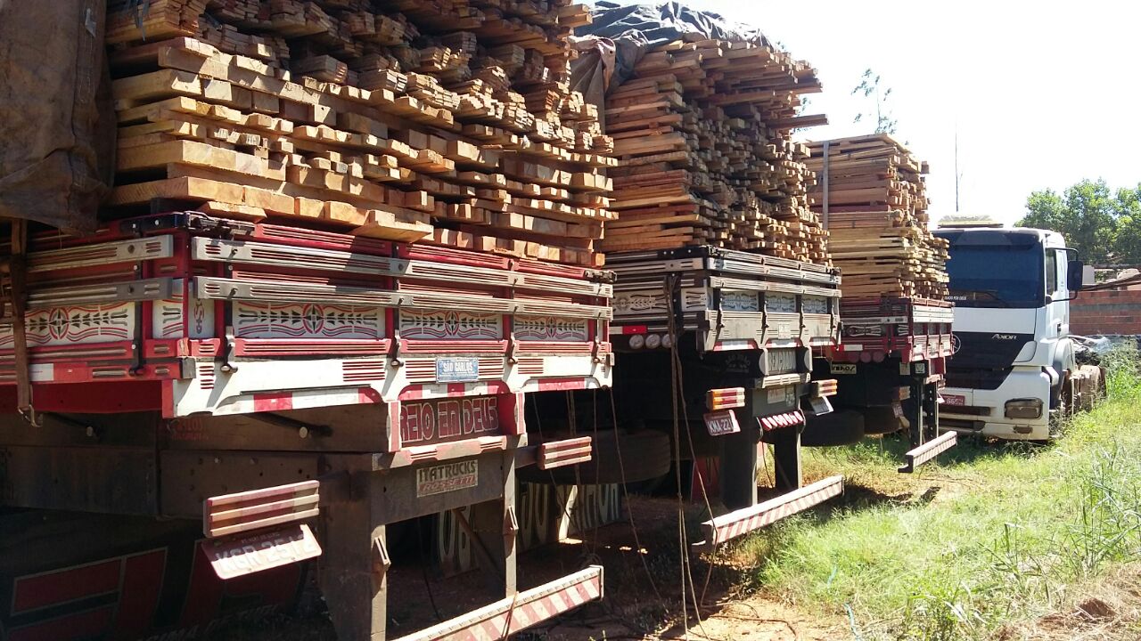 PRF apreende mais três cargas com madeira ilegal na BR 230