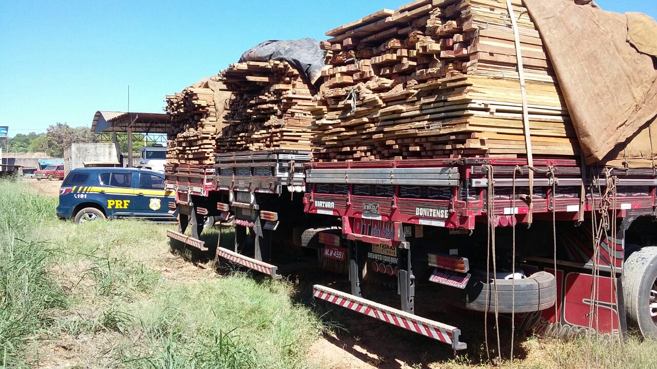 PRF apreende mais três cargas com madeira ilegal na BR 230