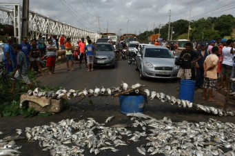 Protesto de moradores do S&aacute; Viana por conta da morte de peixes na Bacia do Bacanga (Hon&oacute;rio Moreira/O Imparcial)