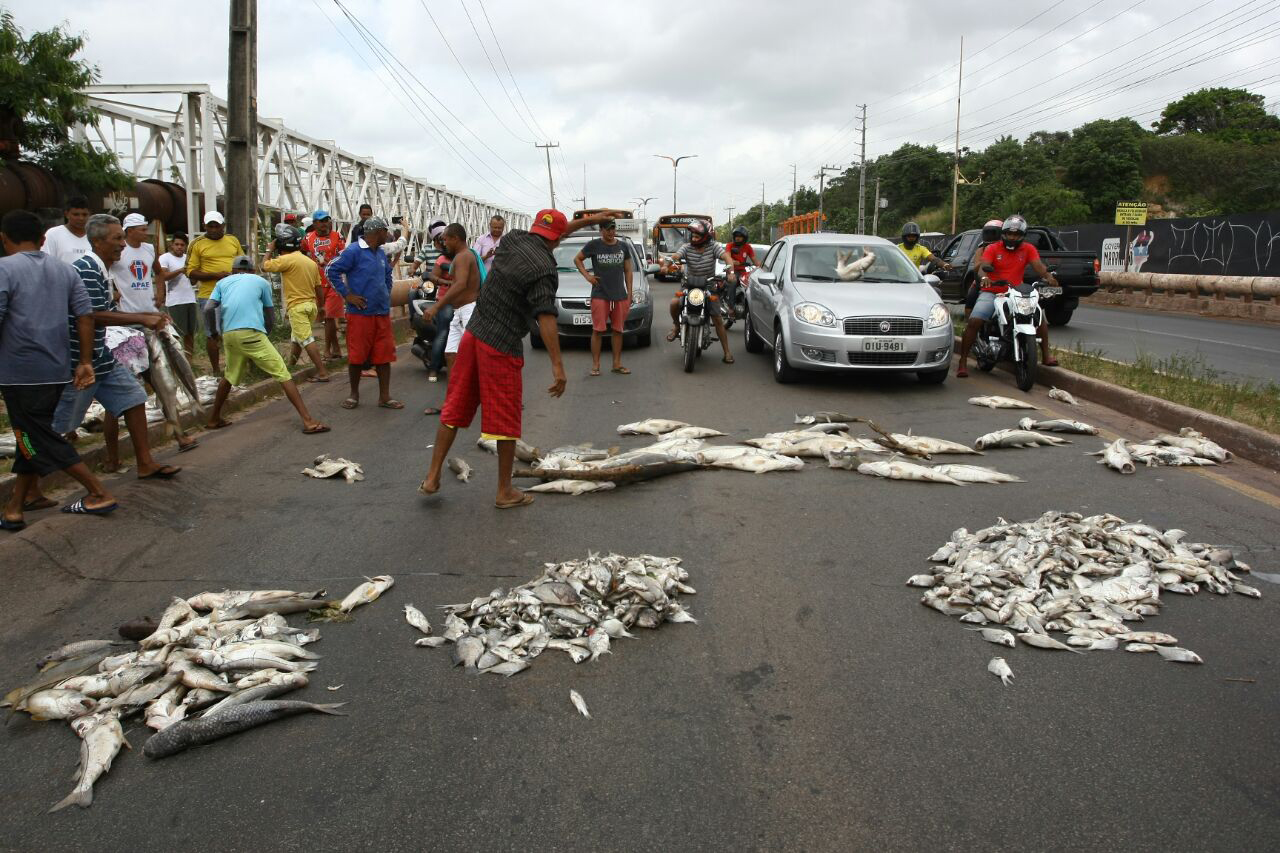 Protesto de moradores do Sá Viana por conta da morte de peixes na Bacia do Bacanga (Honório Moreira/O Imparcial)
