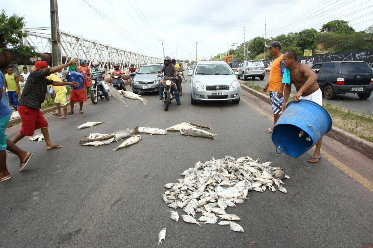 Protesto de moradores do Sá Viana por conta da morte de peixes na Bacia do Bacanga (Honório Moreira/O Imparcial)