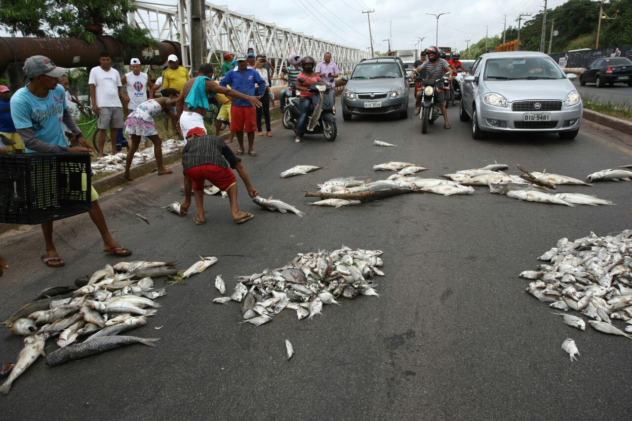 Protesto de moradores do Sá Viana por conta da morte de peixes na Bacia do Bacanga (Honório Moreira/O Imparcial)