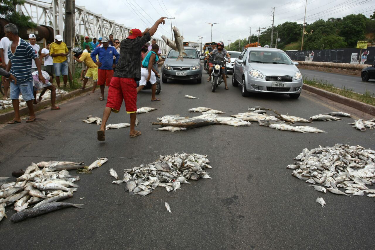 Protesto de moradores do Sá Viana por conta da morte de peixes na Bacia do Bacanga (Honório Moreira/O Imparcial)