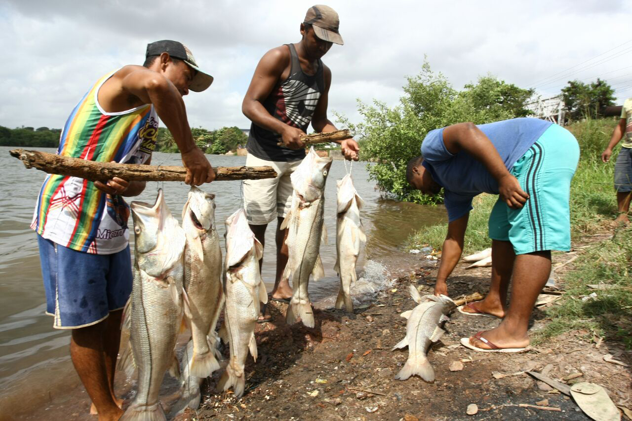 Protesto de moradores do Sá Viana por conta da morte de peixes na Bacia do Bacanga (Honório Moreira/O Imparcial)