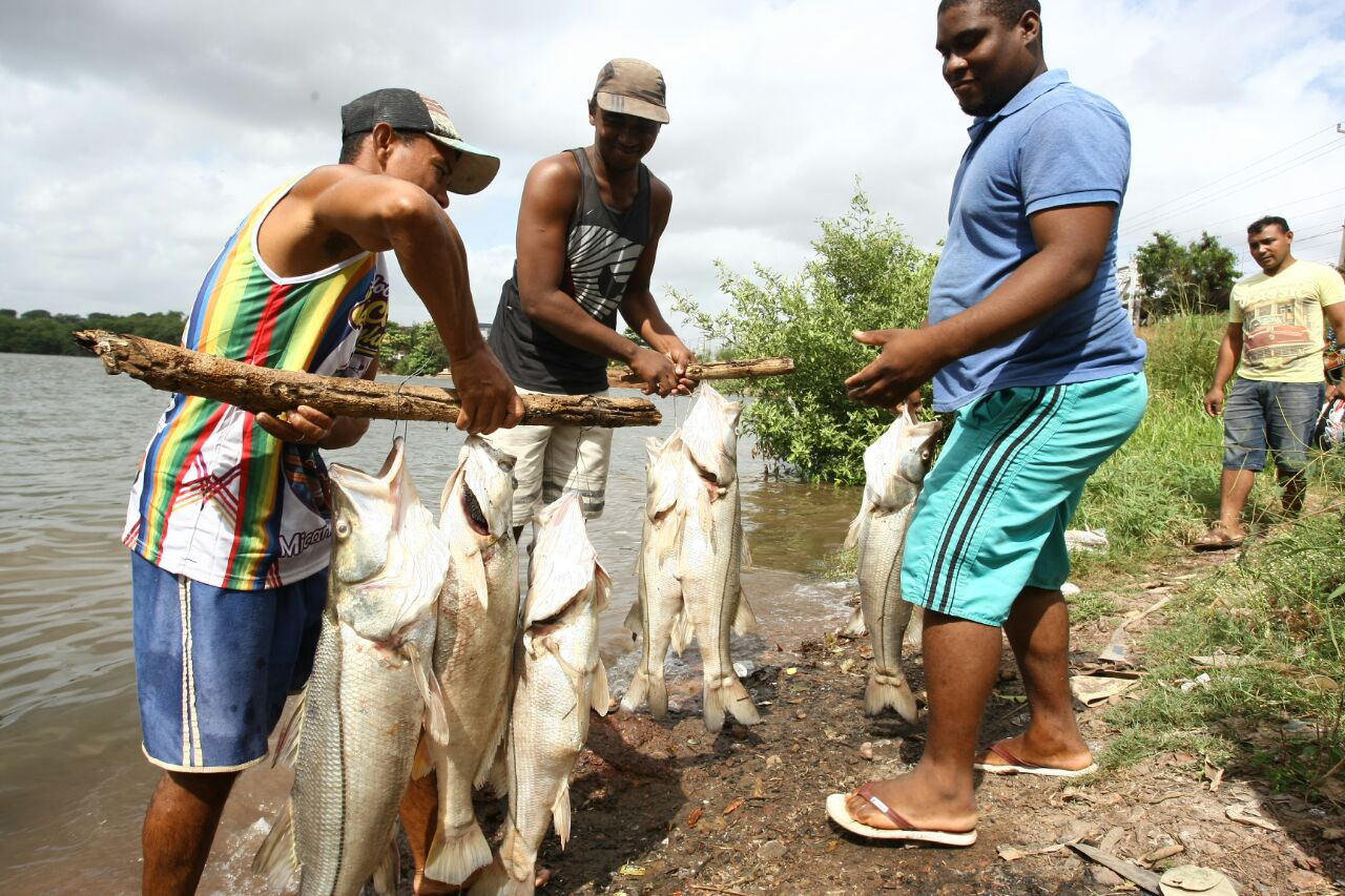 Protesto de moradores do Sá Viana por conta da morte de peixes na Bacia do Bacanga (Honório Moreira/O Imparcial)