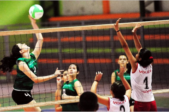 voleibol